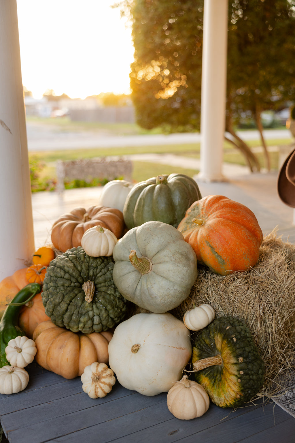 Hello, Fall Neutrals Package #3