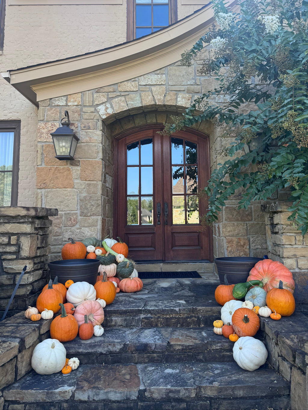 Autumn Greetings Package #3