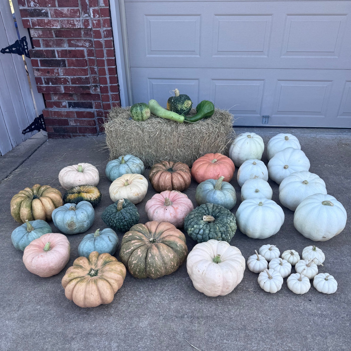 Hello, Fall Neutrals Package #3