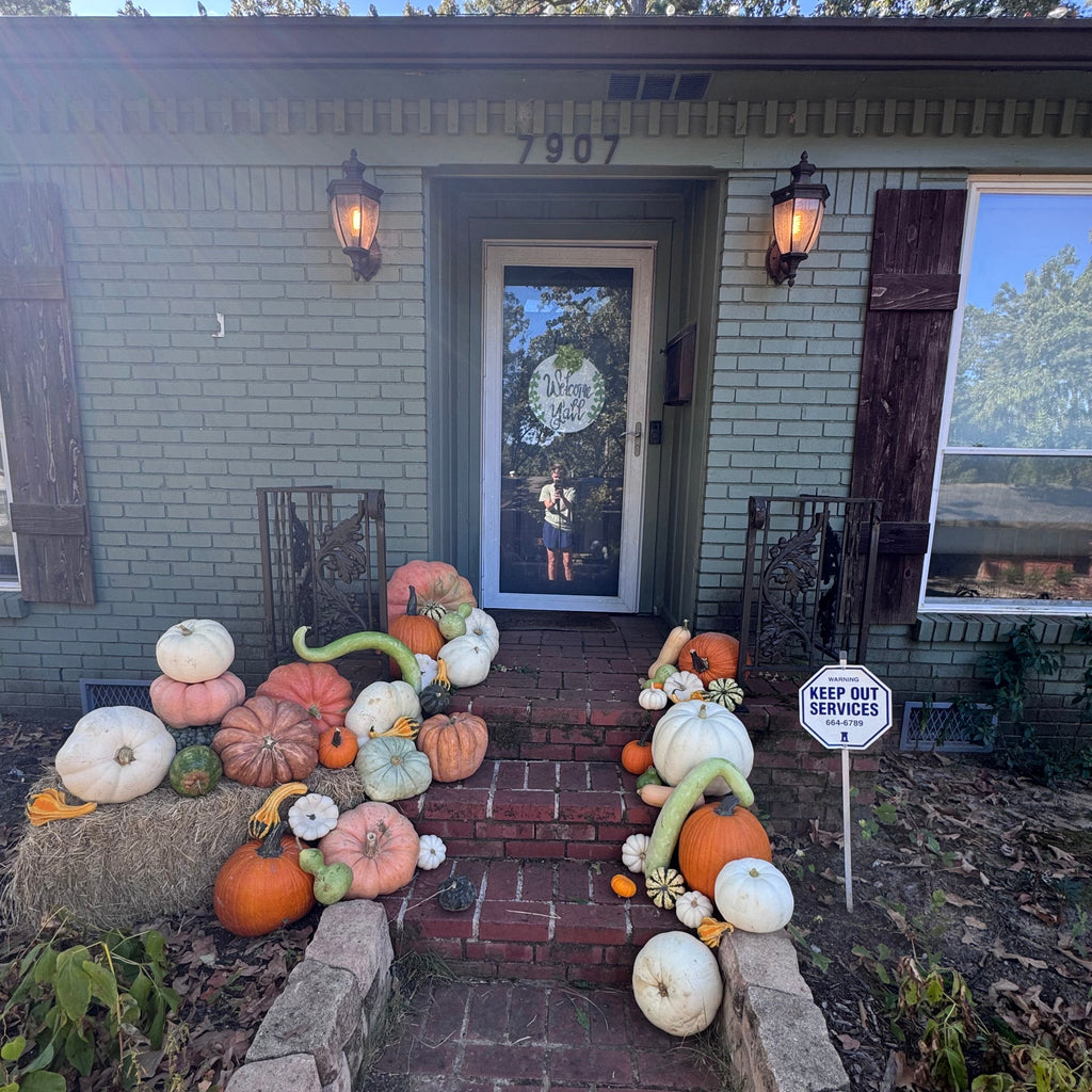 Hello, Fall Neutrals Package #3